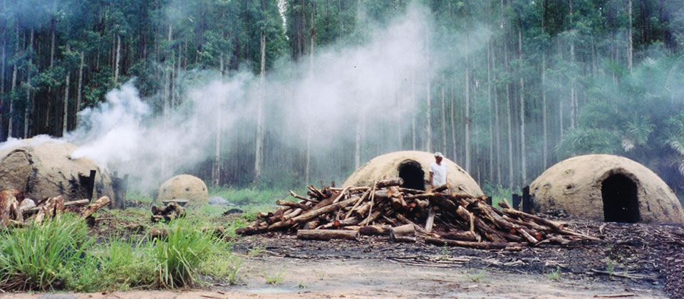 Pela erradicação do trabalho escravo.