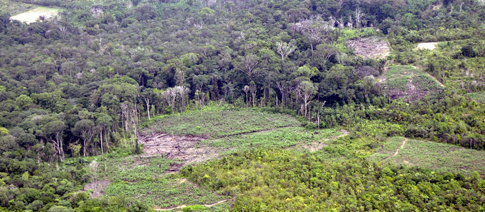 Em favor de ações socio-ambientais.